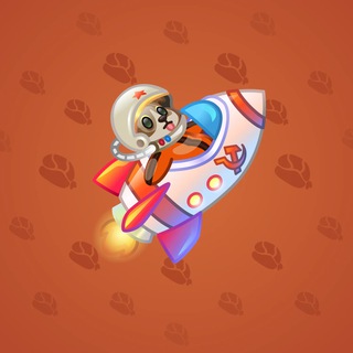 Stellar Rocket #131857