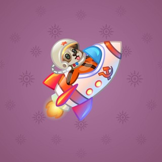 Stellar Rocket #134357