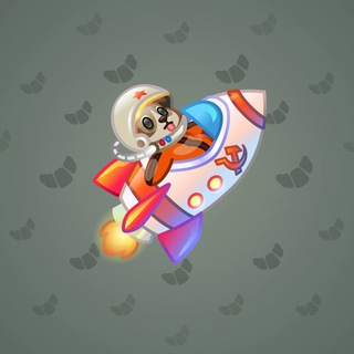 Stellar Rocket #135257