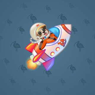 Stellar Rocket #135405