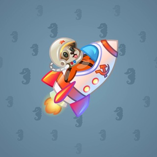 Stellar Rocket #135498
