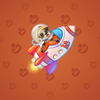 Stellar Rocket #137641