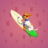 Surge Board #10561