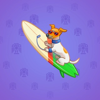 Surge Board #2199