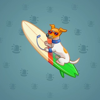 Surge Board #22043