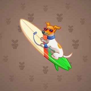 Surge Board #2207