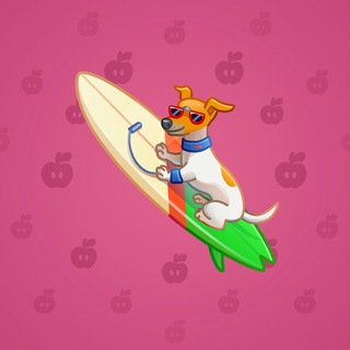 Surge Board #22227