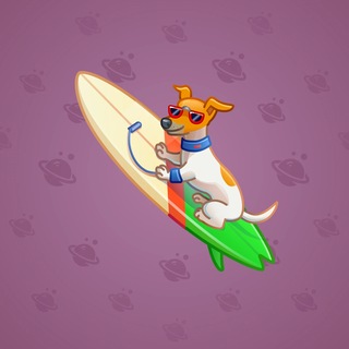 Surge Board #22239