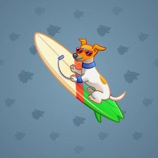 Surge Board #2496