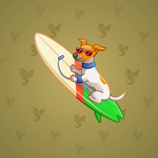 Surge Board #25239