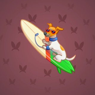 Surge Board #2827