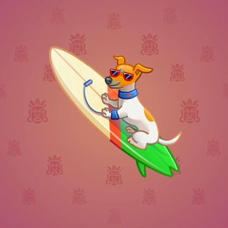 Surge Board #29918