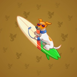 Surge Board #3081