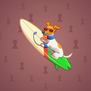 Surge Board #3798