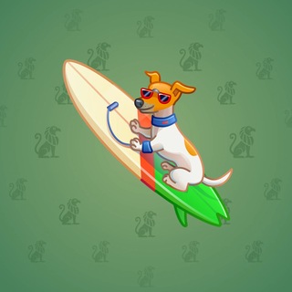 Surge Board #4172