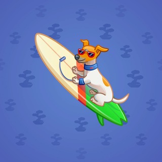 Surge Board #4609