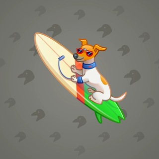 Surge Board #4769