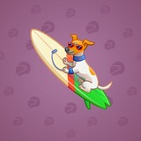 Surge Board #4939