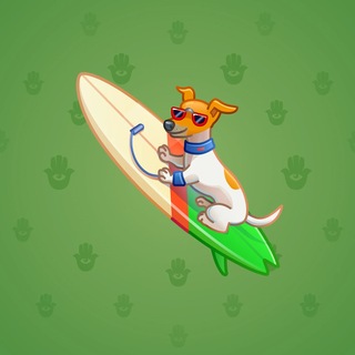 Surge Board #5027