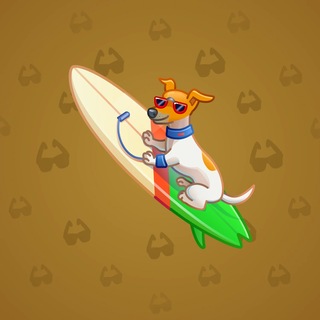 Surge Board #5409