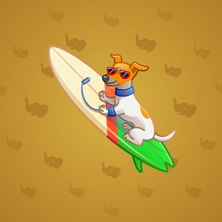 Surge Board #5430
