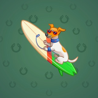 Surge Board #5541