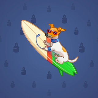 Surge Board #5642