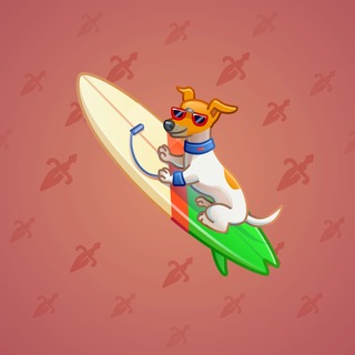 Surge Board #5666
