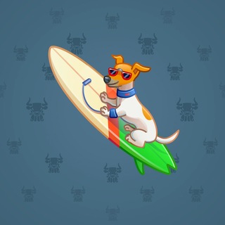 Surge Board #5881