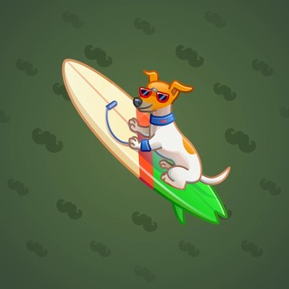 Surge Board #6346