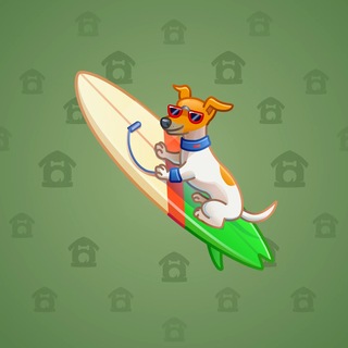 Surge Board #7677