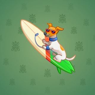 Surge Board #7727