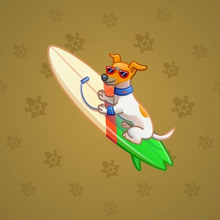 Surge Board #7731