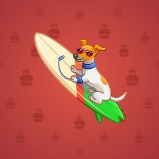 Surge Board #8893