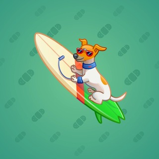 Surge Board #9167