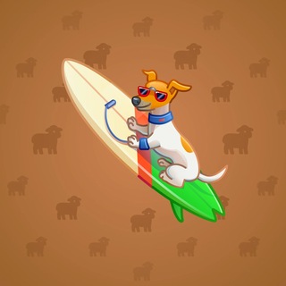 Surge Board #9850