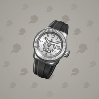 Swiss Watch #22274