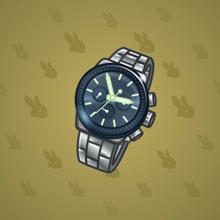 Swiss Watch #23002