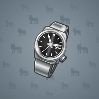 Swiss Watch #23008