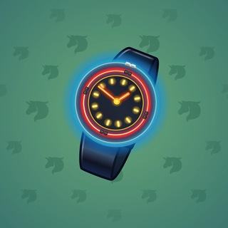 Swiss Watch #24265