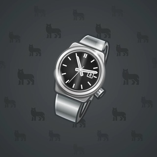Swiss Watch #24272