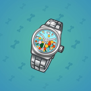 Swiss Watch #24299