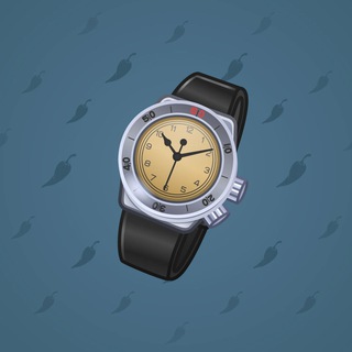 Swiss Watch #24306