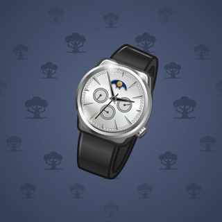 Swiss Watch #24434