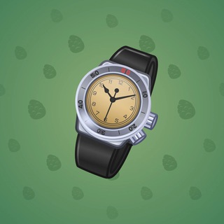 Swiss Watch #24436