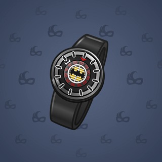 Swiss Watch #24455