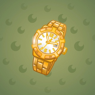 Swiss Watch #24464