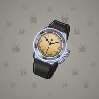 Swiss Watch #24470
