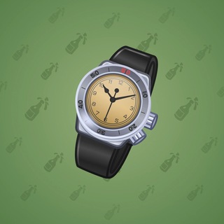 Swiss Watch #25994