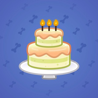 Homemade Cake #132203